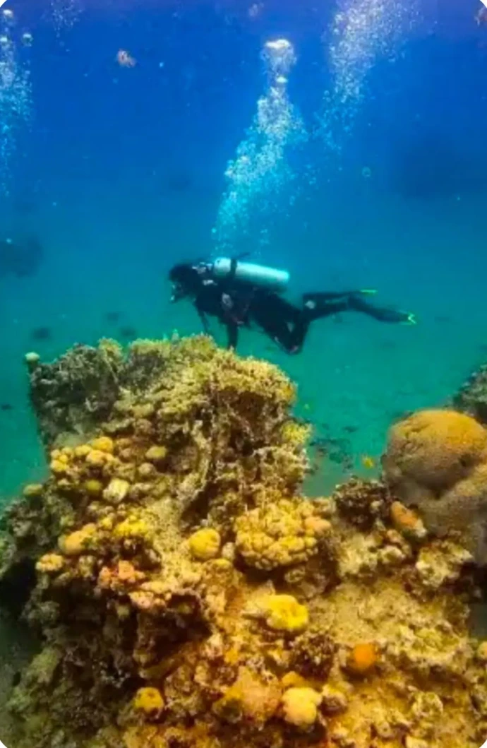 sharm beach villa rental with snorkeling